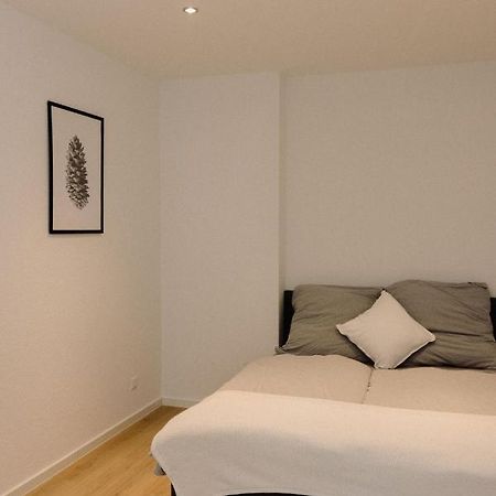130M² Apartment Im Zentrum + Terrasse Leipzig Exteriör bild