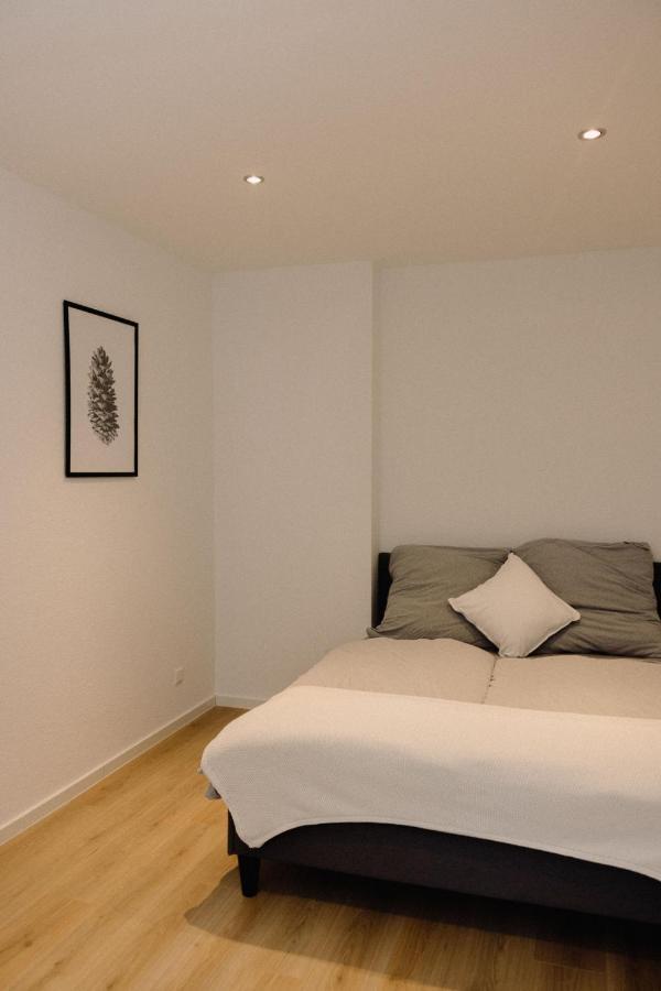130M² Apartment Im Zentrum + Terrasse Leipzig Exteriör bild